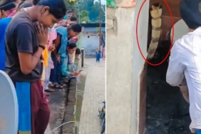 Hindistan'da bir evin klozetinde dev kobra yılanı bulundu