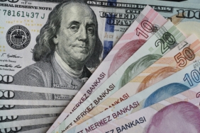 Dolar/TL kuru yeni haftanın ilk işlemlerinde 49,18 seviyesini görerek rekor tazeledi